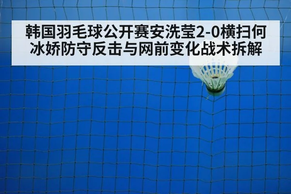 badminton net play