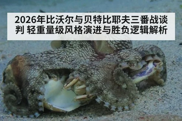 2026年比沃尔与贝特比耶夫三番战谈判 轻重量级风格演进与胜负逻辑解析